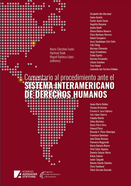 Comentario al procedimiento ante el Sistema Interamericano de Derechos Humanos